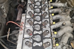 Motor